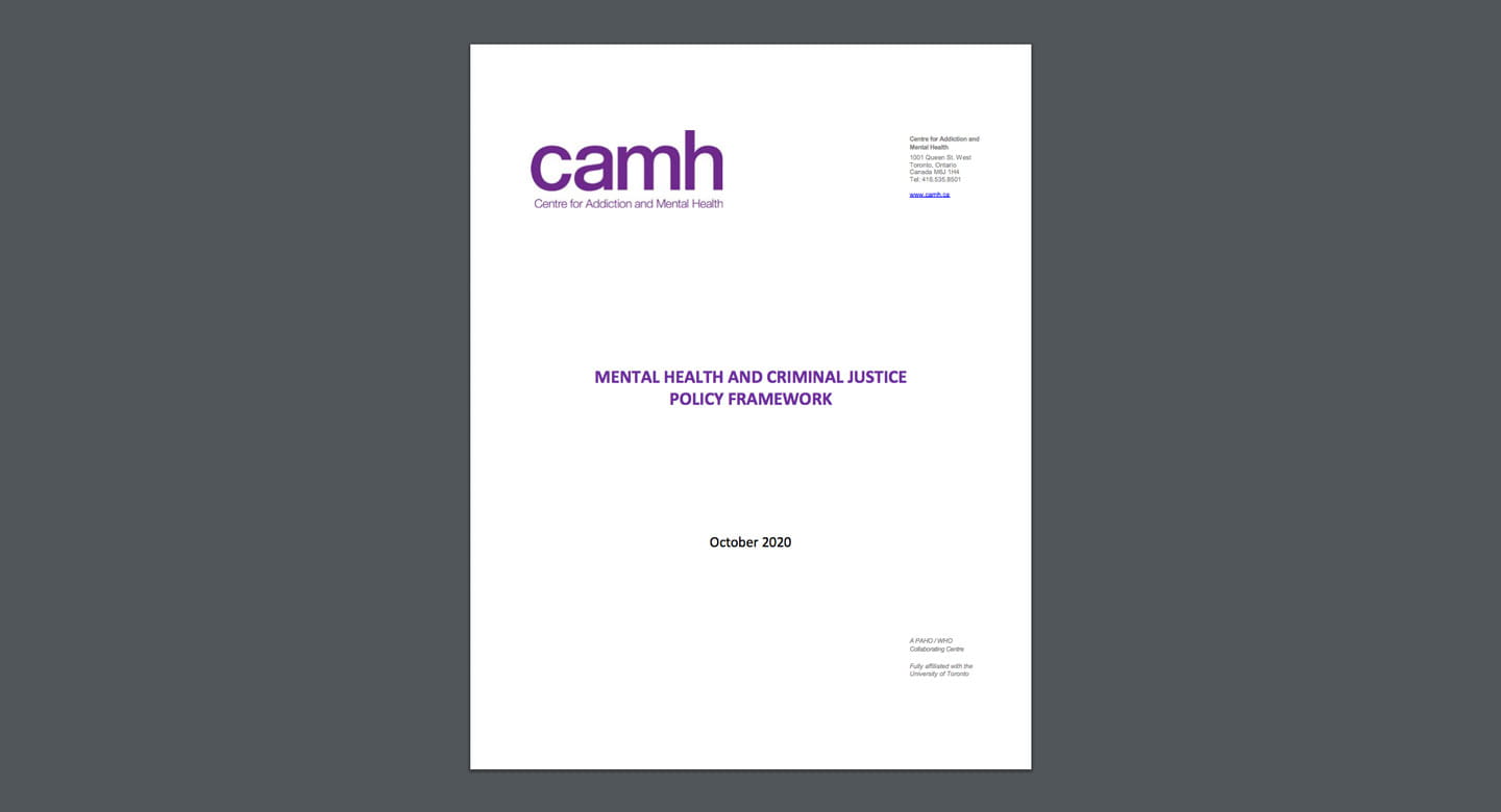 Public Policy Criminal Justice Framework